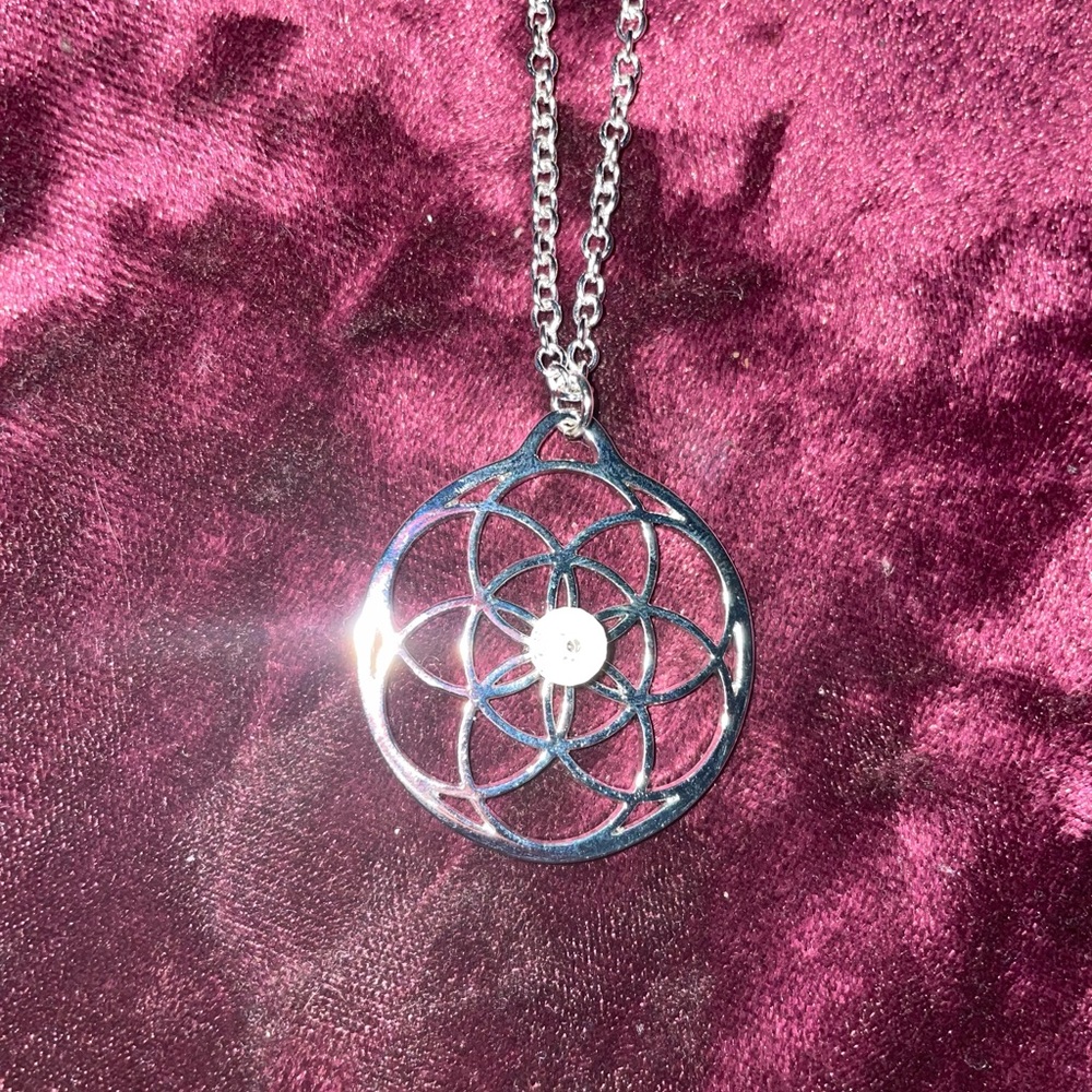 Flower Symbol Silver Necklace